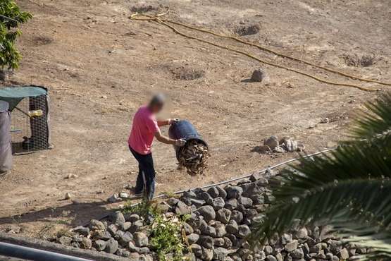 El Barranco de El Calero, el cubo de la basura de fincas colindantes/TA.